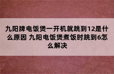 九阳牌电饭煲一开机就跳到12是什么原因 九阳电饭煲煮饭时跳到6怎么解决